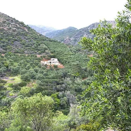 Levande Sfinarion